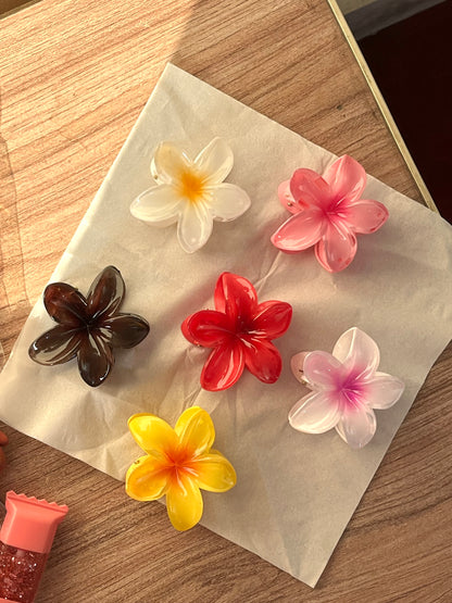 Flower Hair catchers gift box