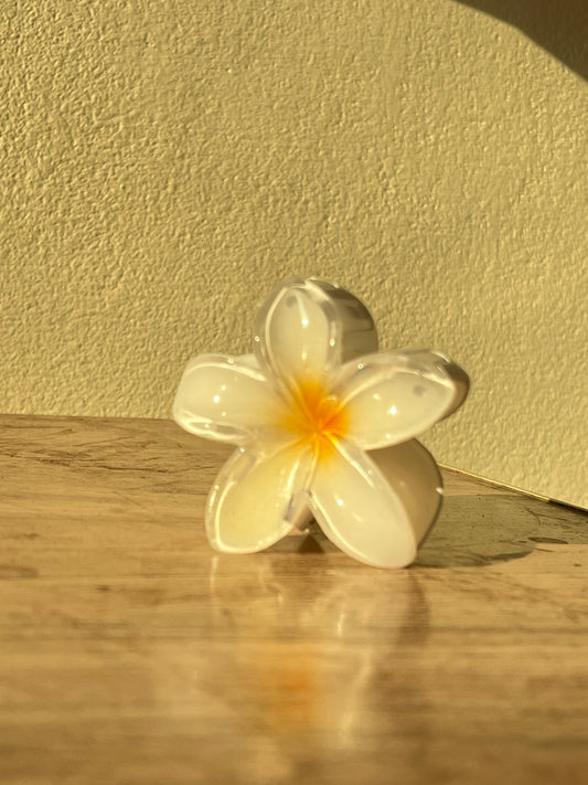 Flower Claw Clip